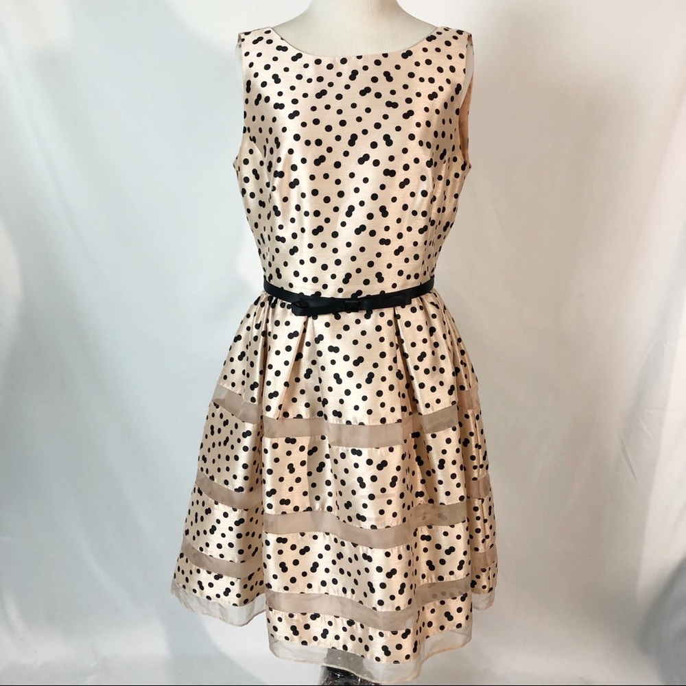 Taylor Champagne Polka Dot Dress size 6